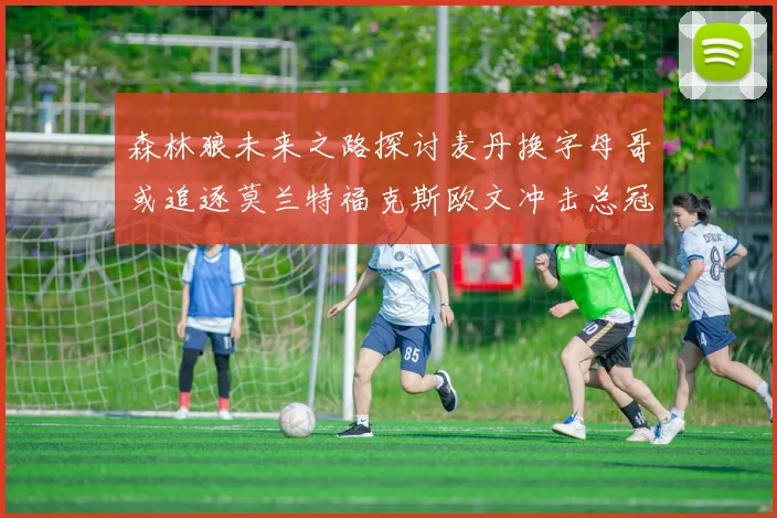 森林狼未来之路探讨麦丹换字母哥或追逐莫兰特福克斯欧文冲击总冠军